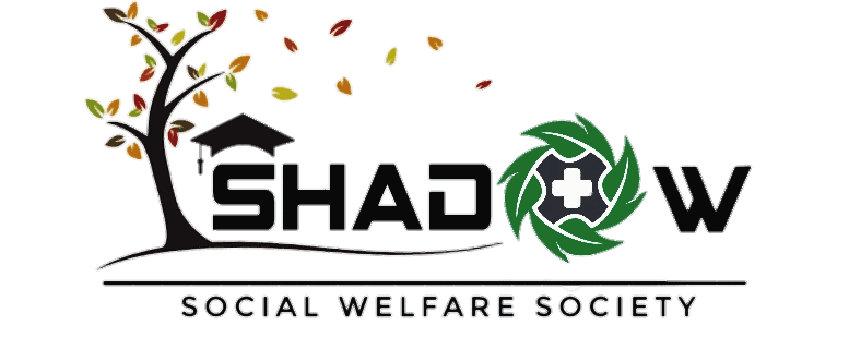 Shadow Social Welfare Society